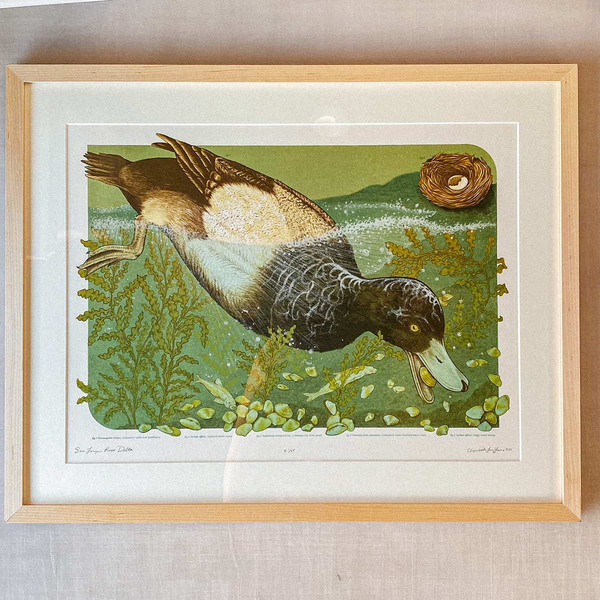 15x20" Fine Art Lithographic Print: San Joaquin River Delta