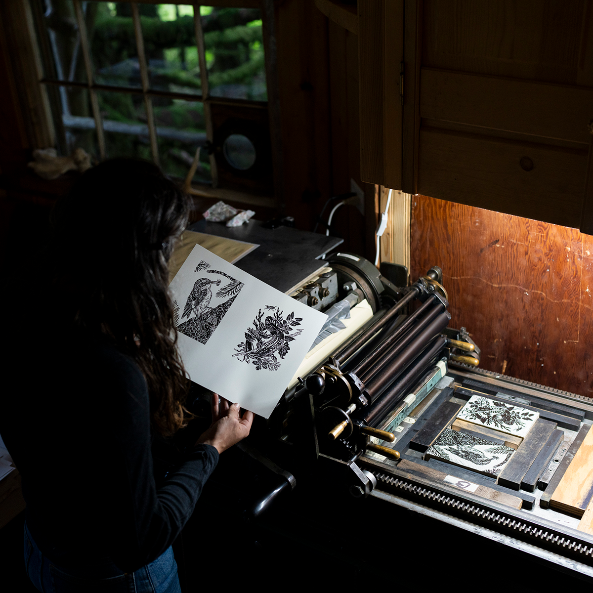 6x8" Fine Art Linocut Print: Northwestern Salamander