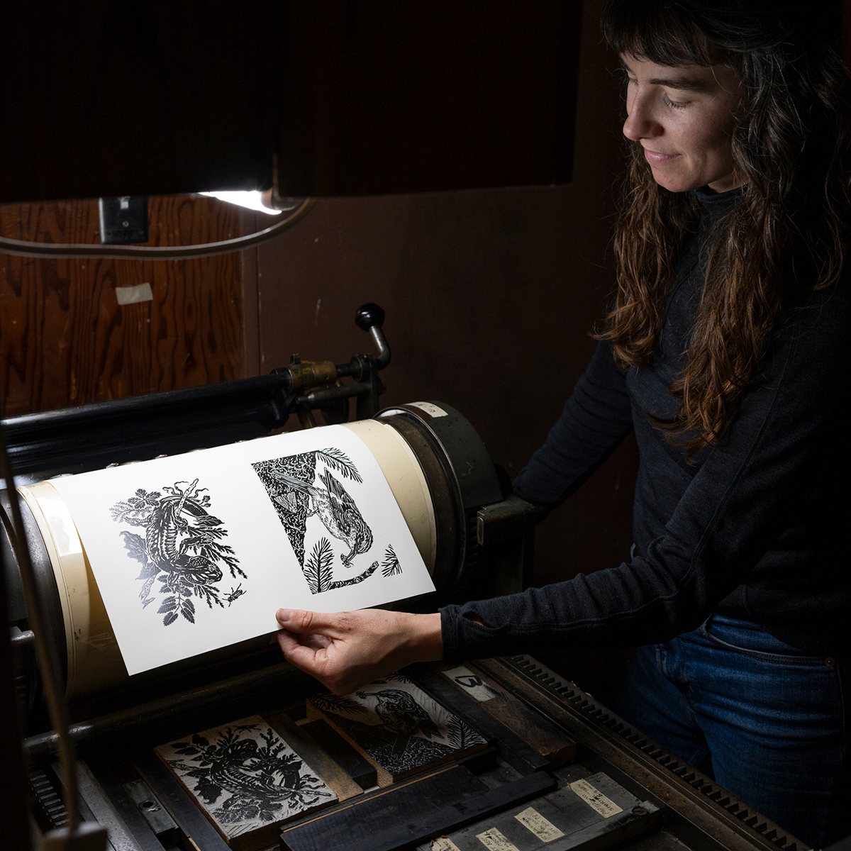 6x8" Fine Art Linocut Print: Northwestern Salamander