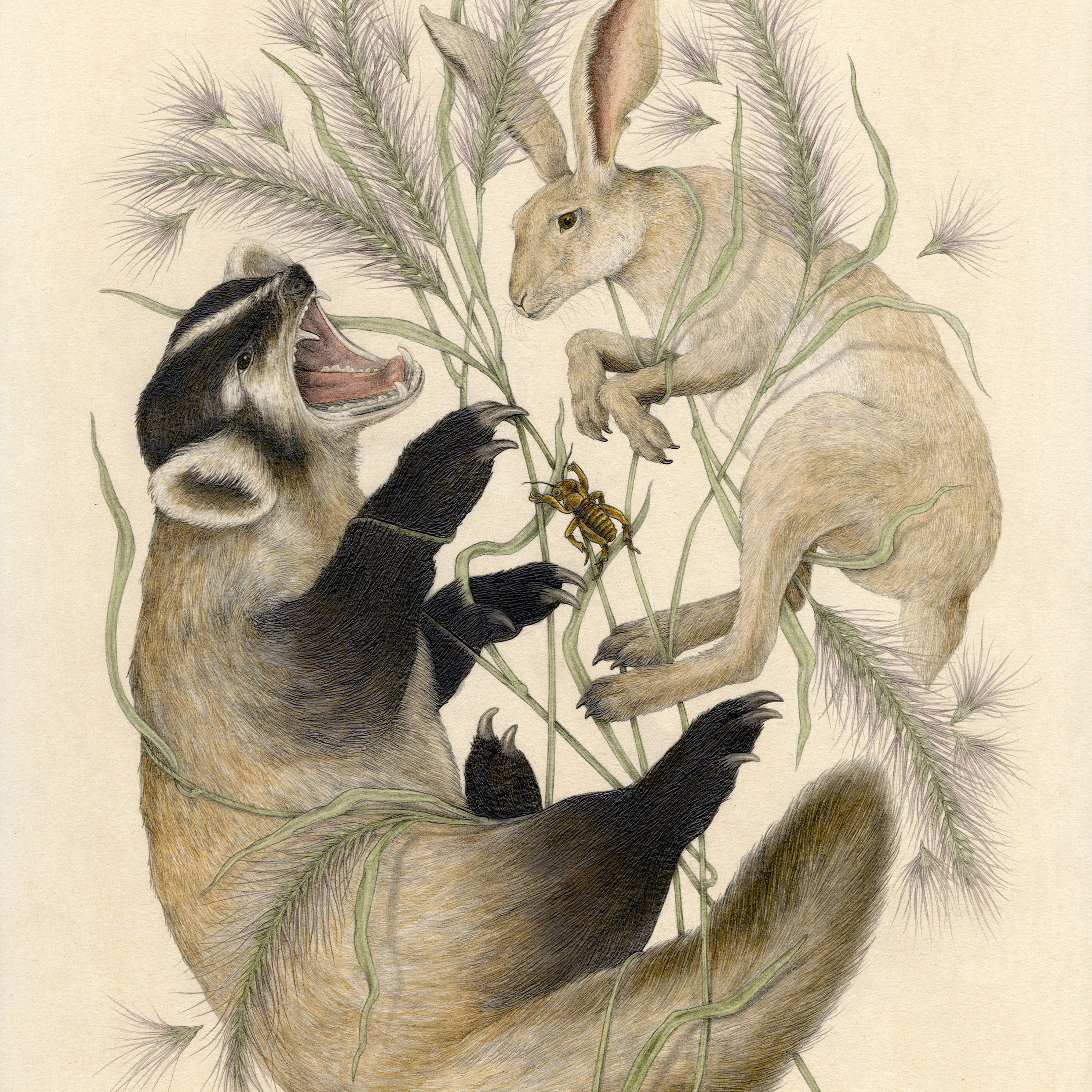 11x14" Fine Art Giclee Print: Chihuahuan Desert