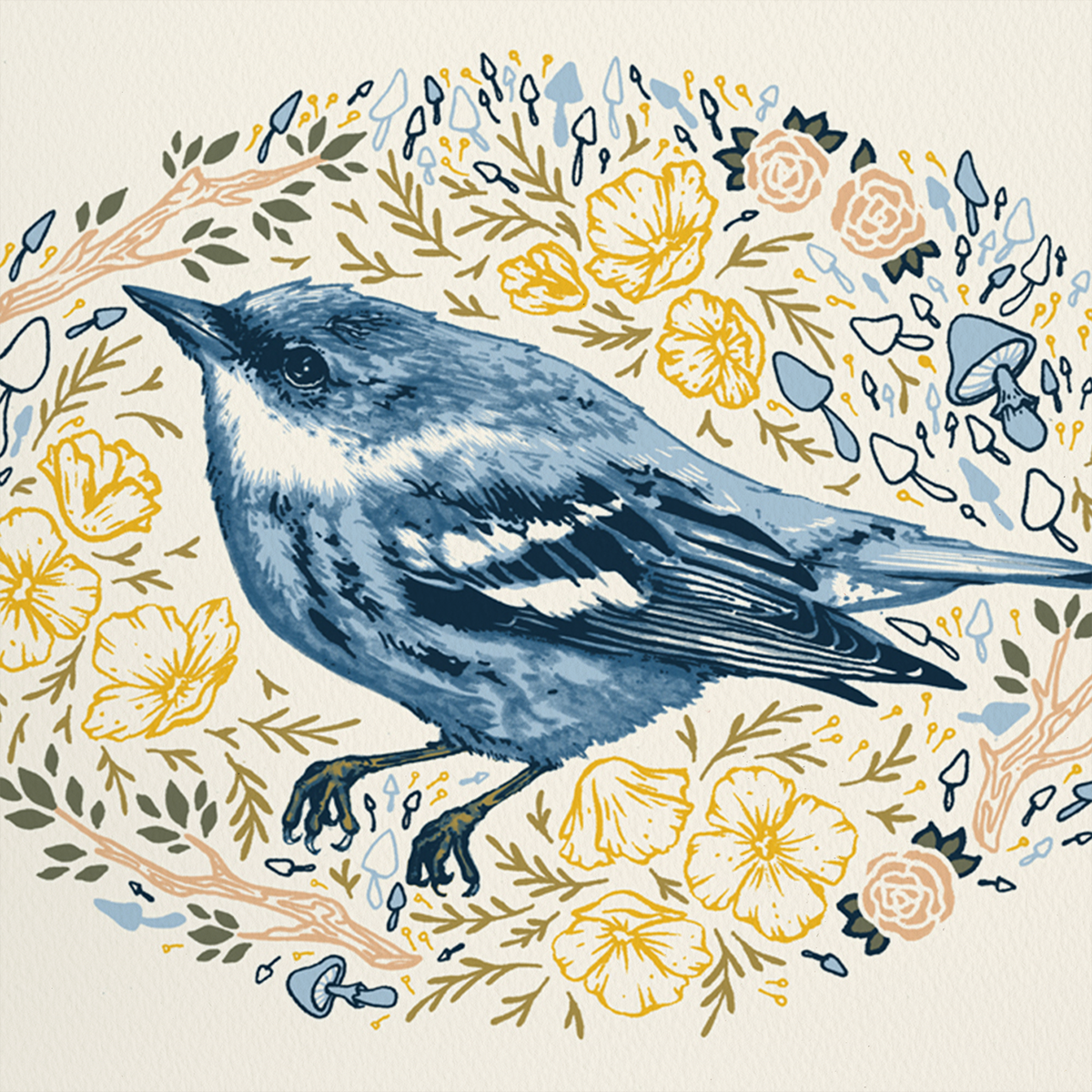 8x10" Giclee Print: Female Cerulean Warbler