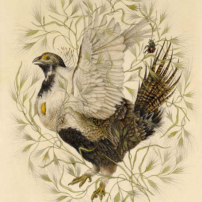 16x20" Fine Art Giclee Print: Sagebrush Steppe