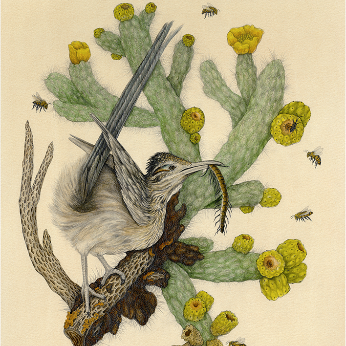 16x20" Fine Art Giclee Print: Saguaro National Park