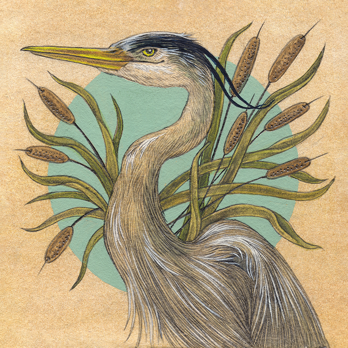6x6" Mini Fine Art Giclee Print: Great Blue Heron