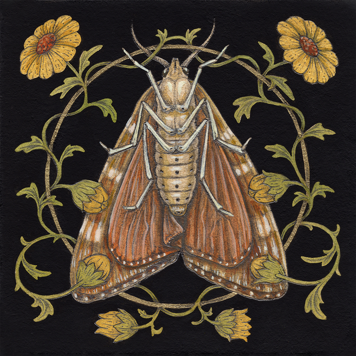 6x6" Mini Fine Art Giclee Print: Moth