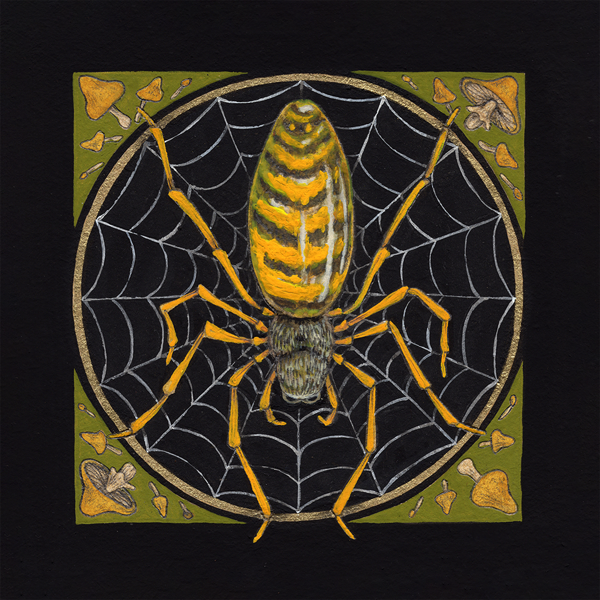 6x6" Mini Fine Art Giclee Print: Joro Spider