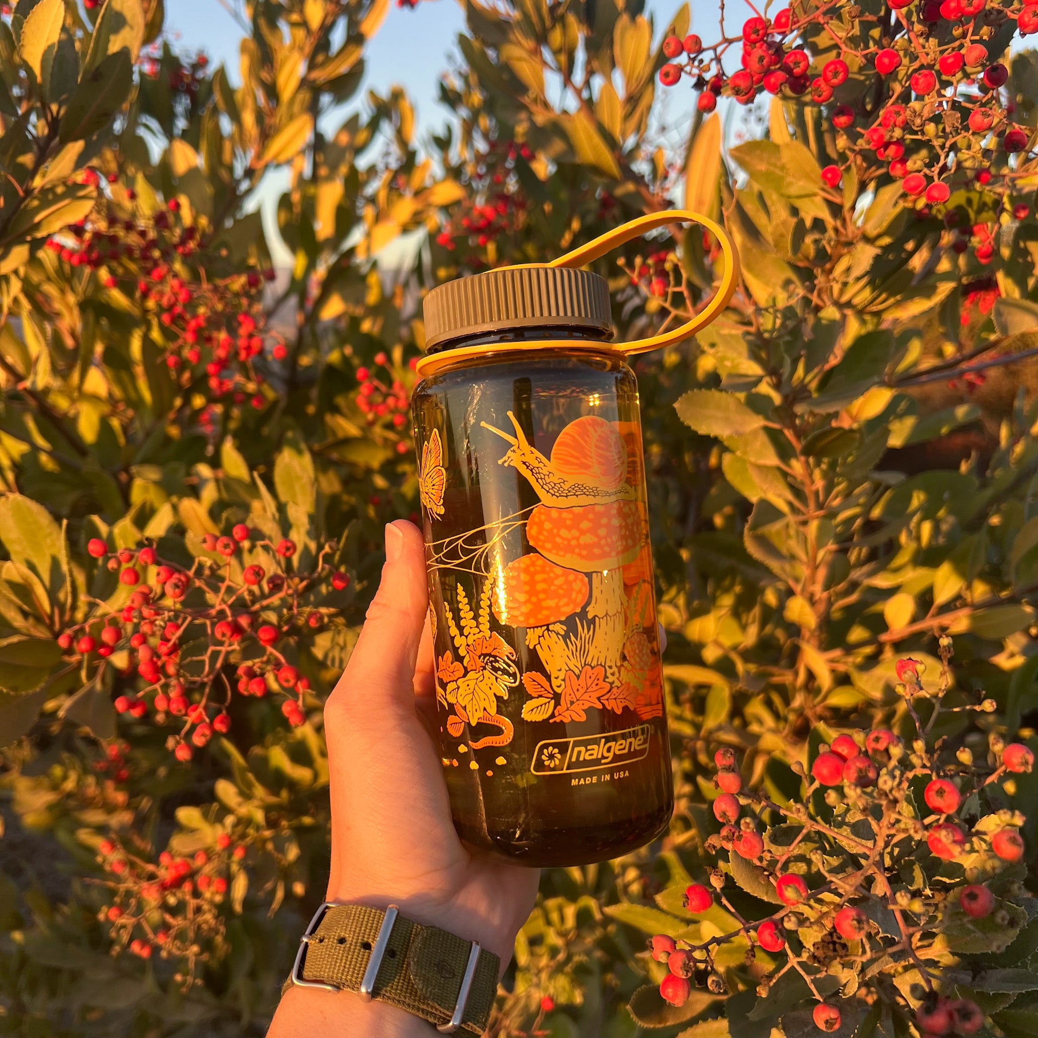 Nalgene 16oz: Toad