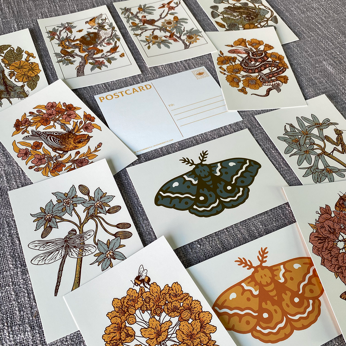 SECONDS* Postcard Set