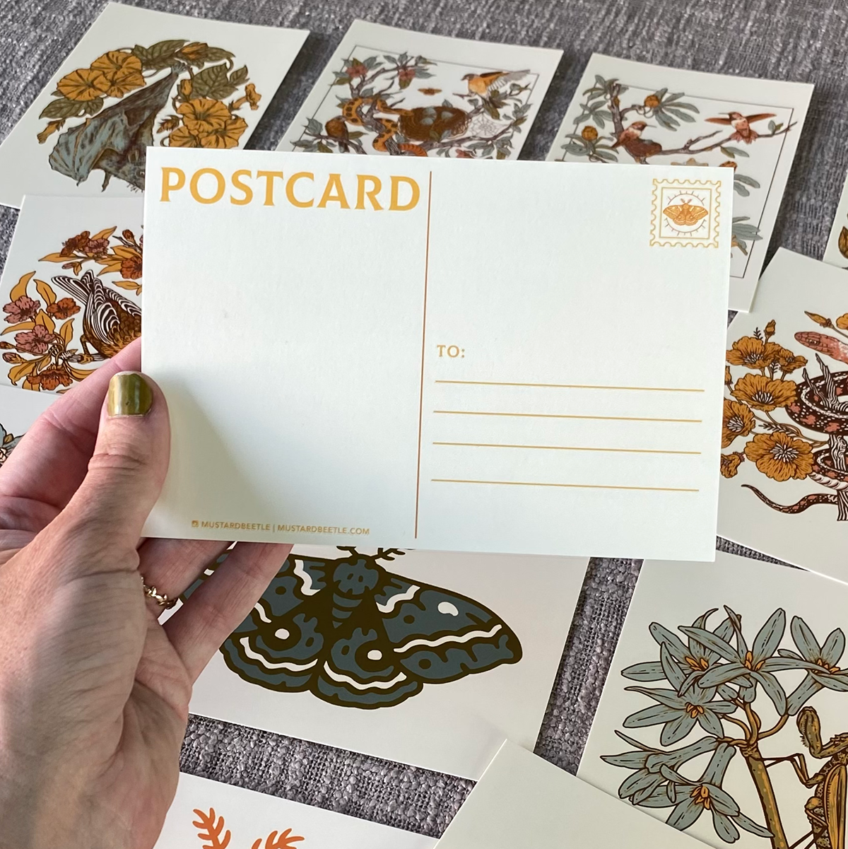SECONDS* Postcard Set