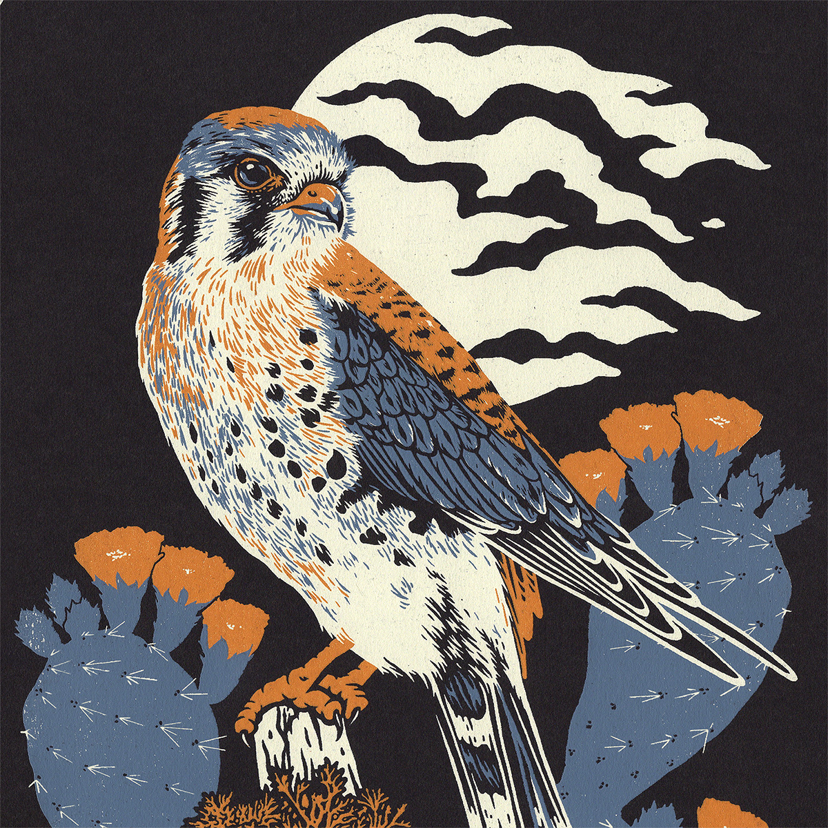 11x14" Screenprint: Kestrel & Prickly Pear