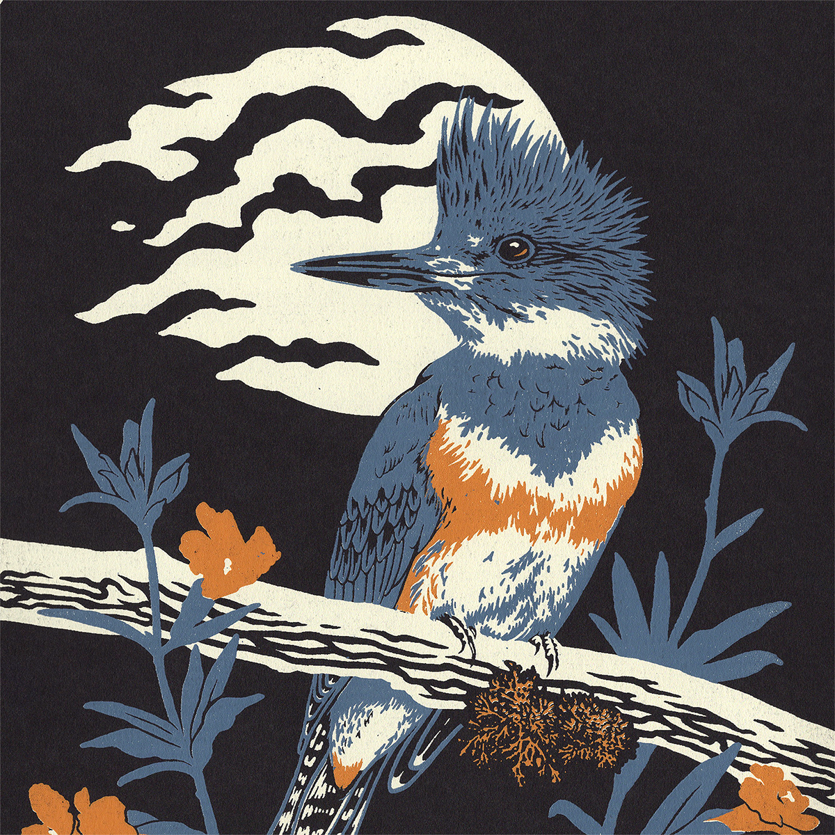 11x14" Screenprint: Kingfisher & Monkey Flower