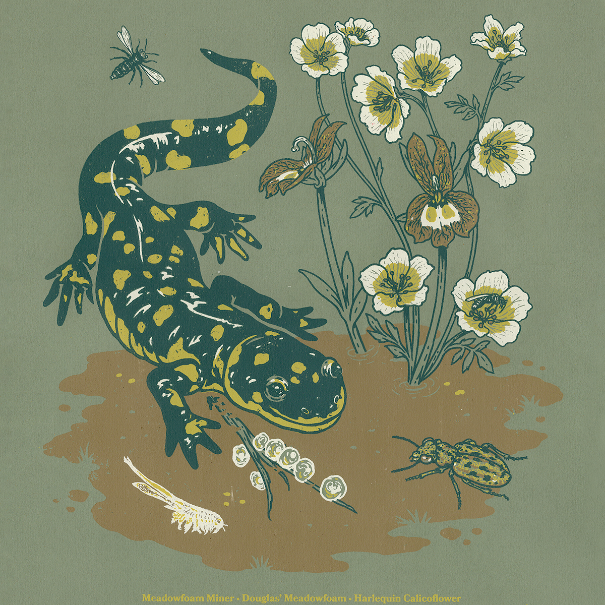 11x14" Screenprint: Jepson Prairie Preserve