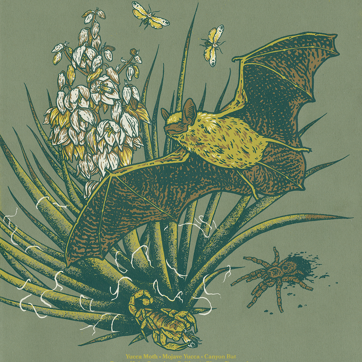 11x14" Screenprint: Mojave Desert