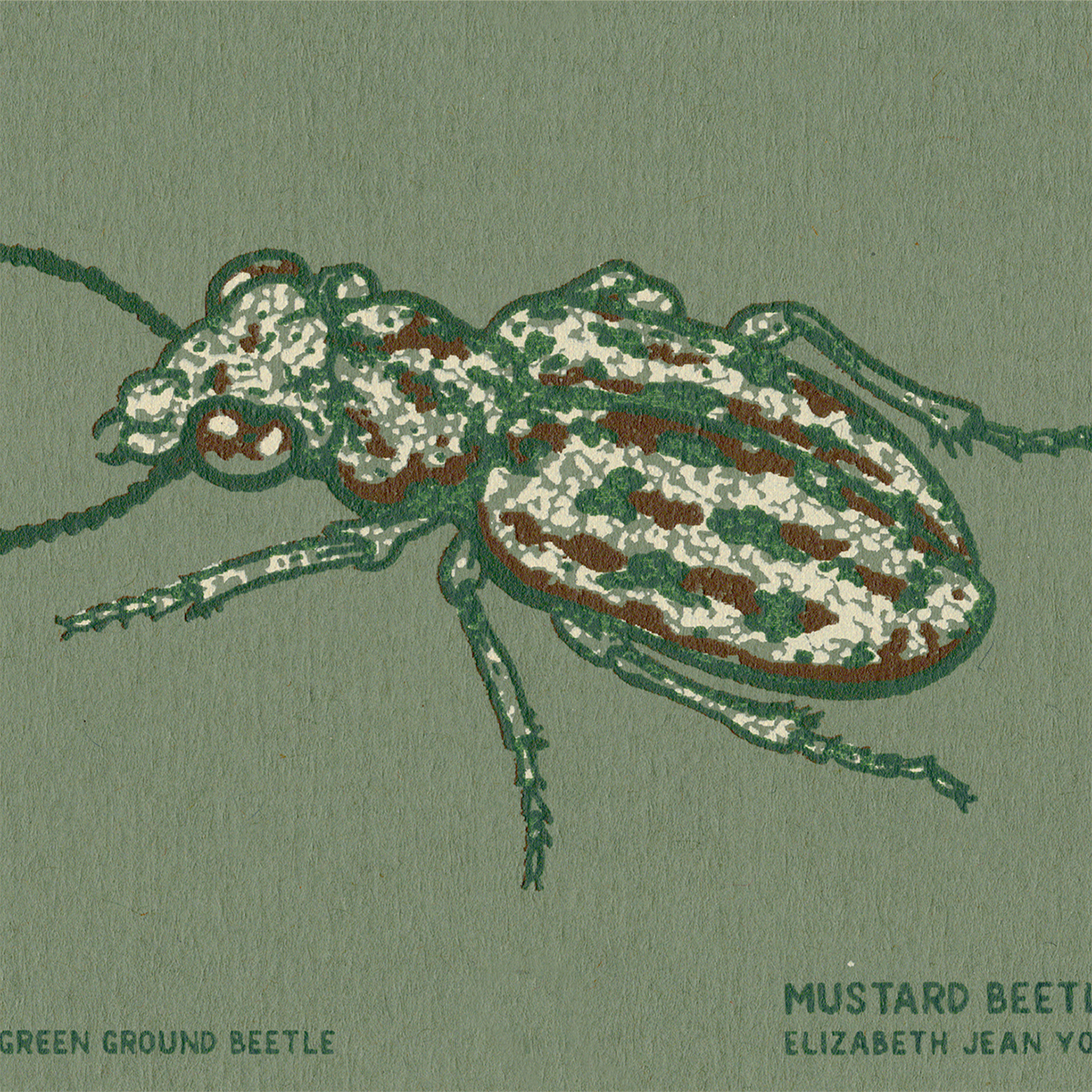 3x4" Mini Screenprint: Delta Green Ground Beetle