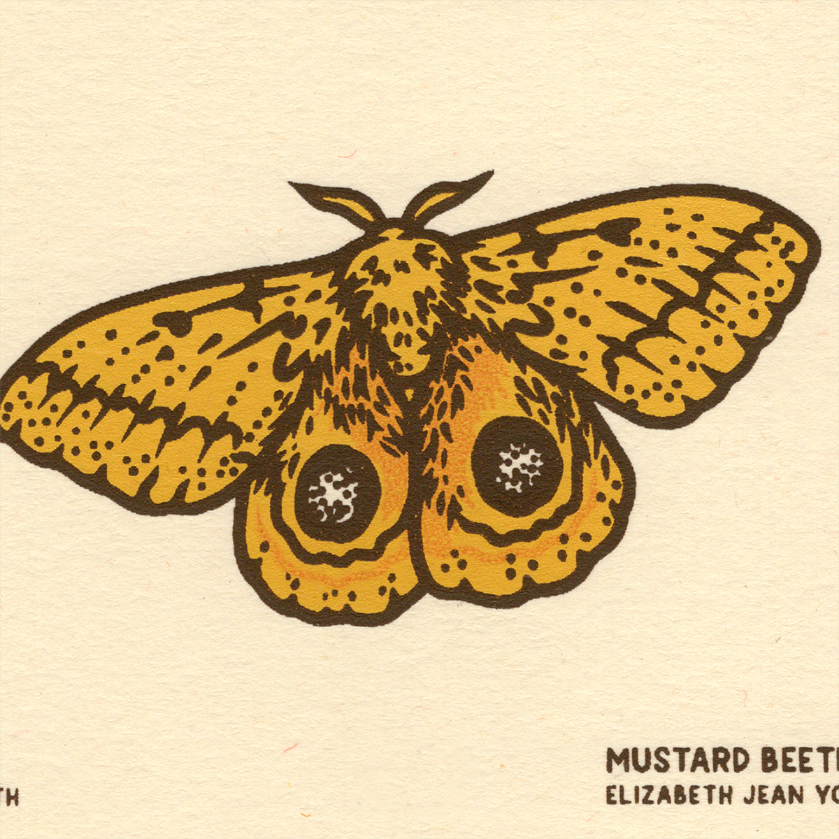 3x4" Mini Screenprint: IO Moth