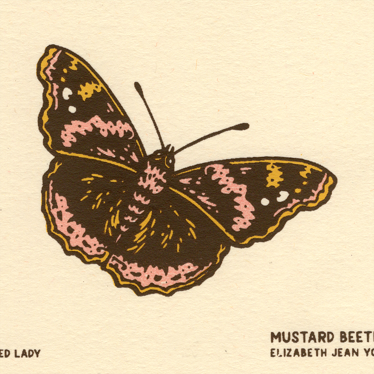 3x4" Mini Screenprint: Painted Lady