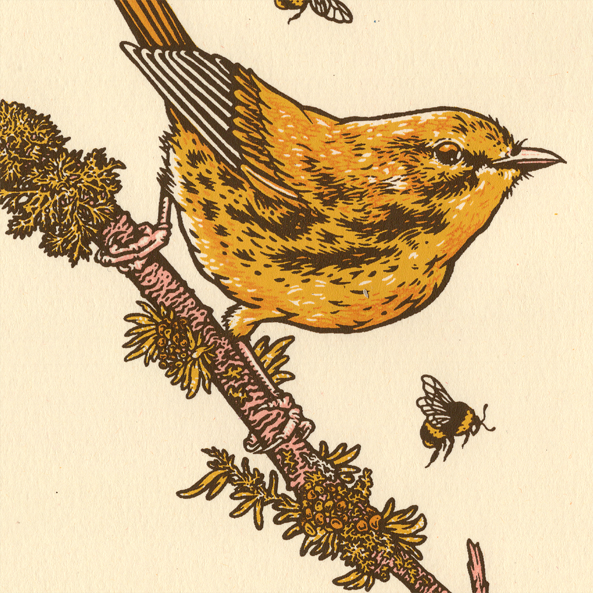 5x7" Screenprint: Prairie Warbler