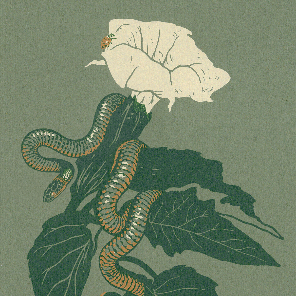 6x8" Screenprint: Ring-necked Snake
