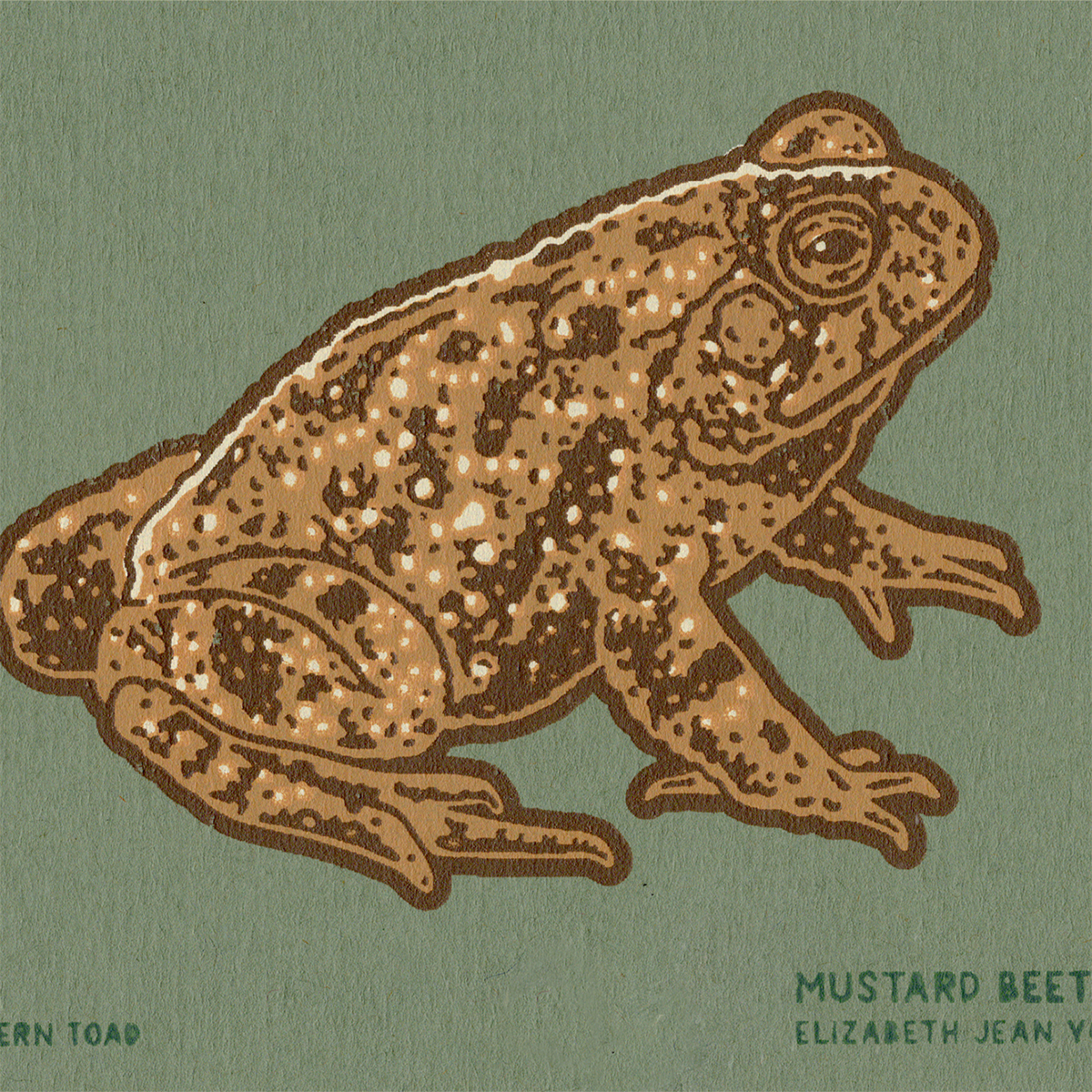 3x4" Mini Screenprint: Western Toad