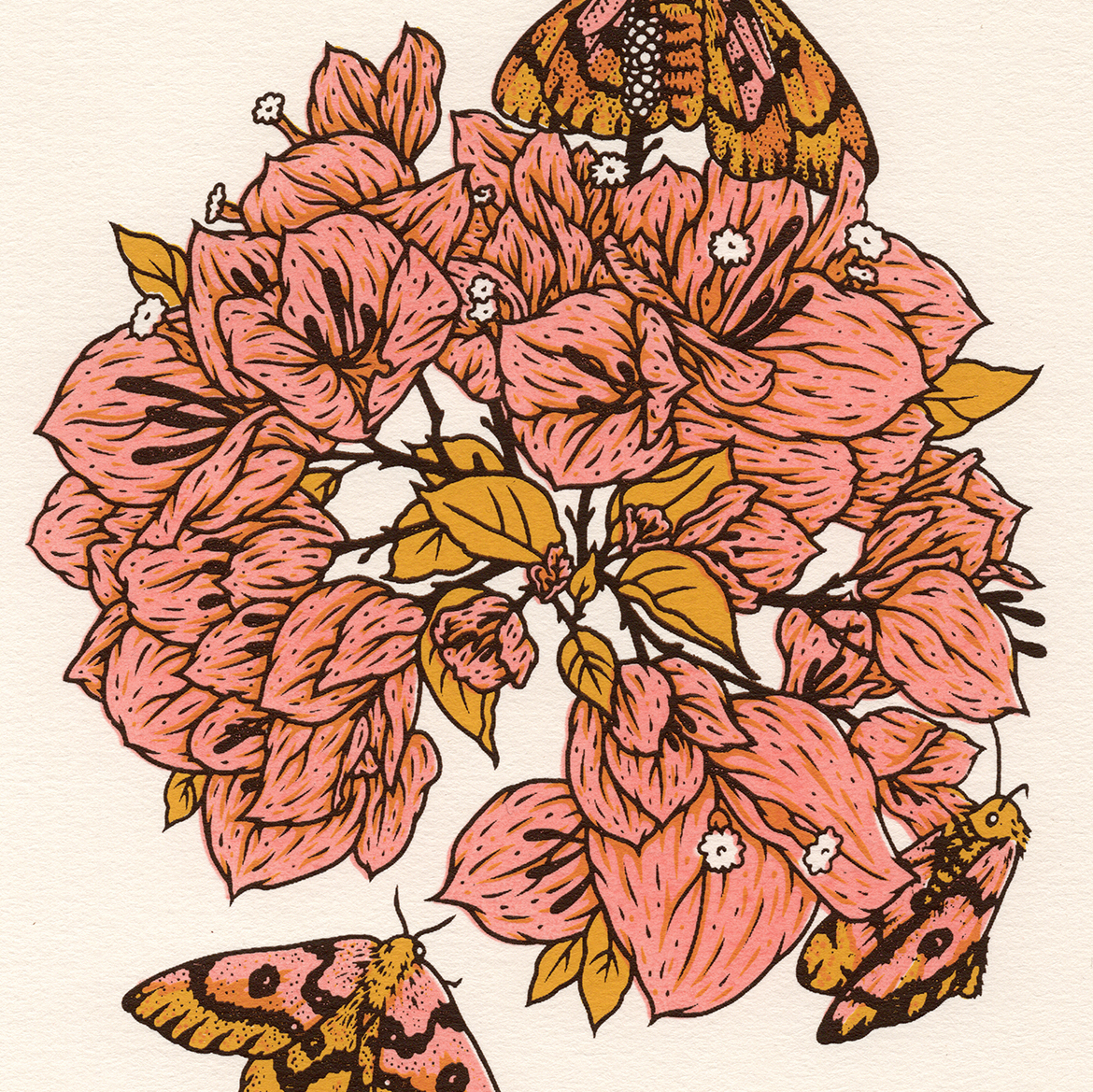 6x8" Screenprint: Bougainvillea