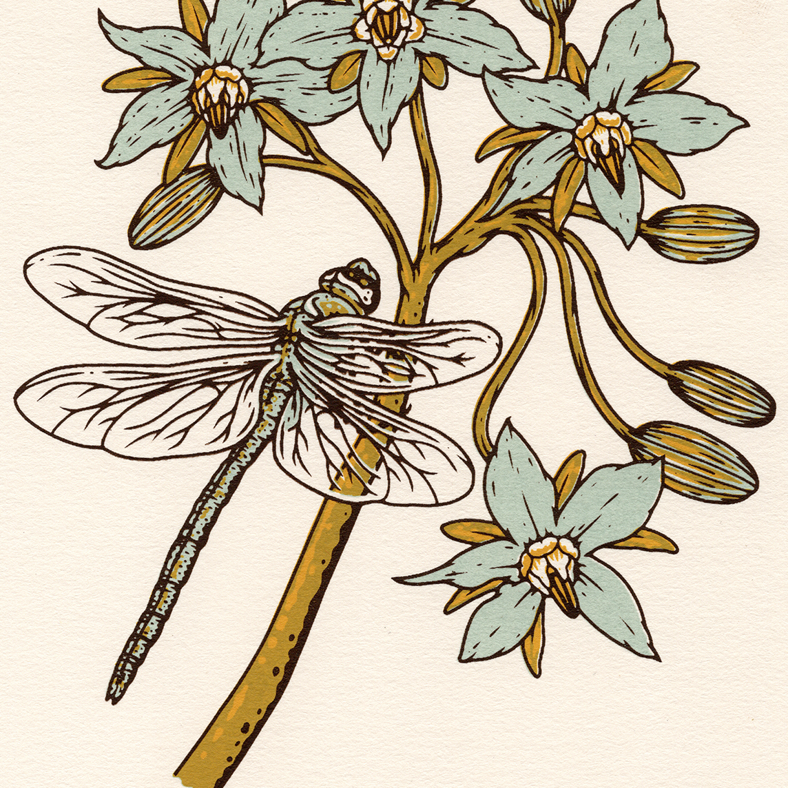 6x8" Screenprint: Dragonfly
