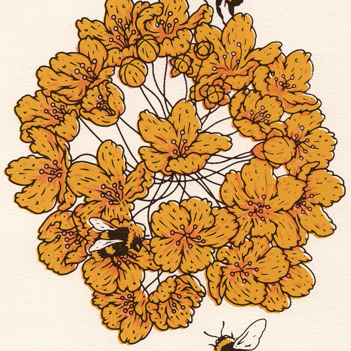 6x8" Screenprint: Gold Medallion