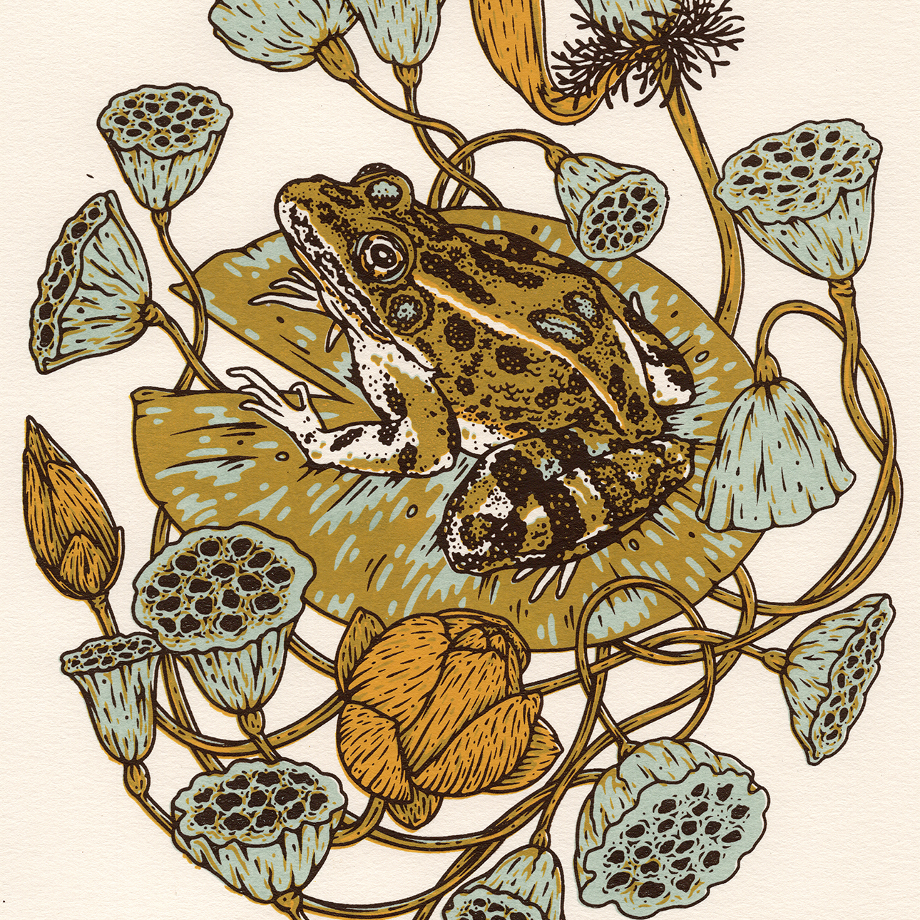 8x10" Screenprint: Lotus Pods