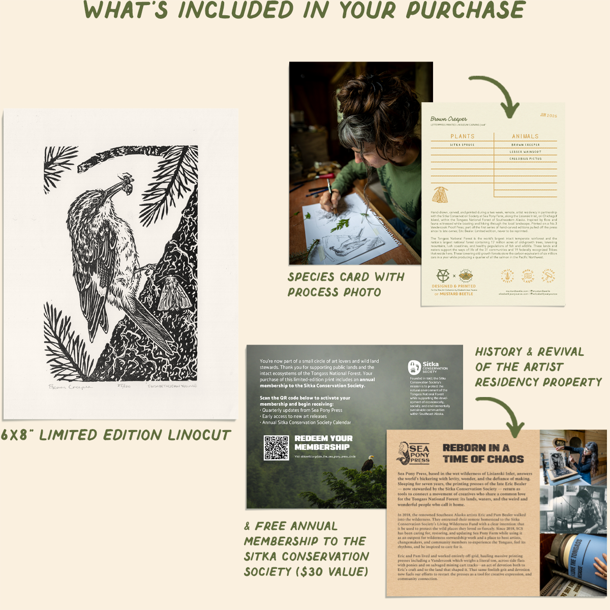 6x8" Fine Art Linocut Print: Brown Creeper