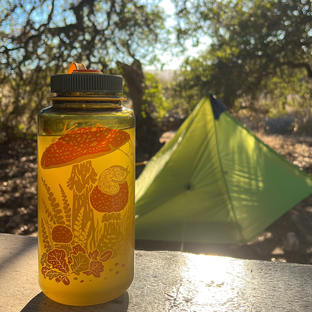 Nalgene 16oz: Toad