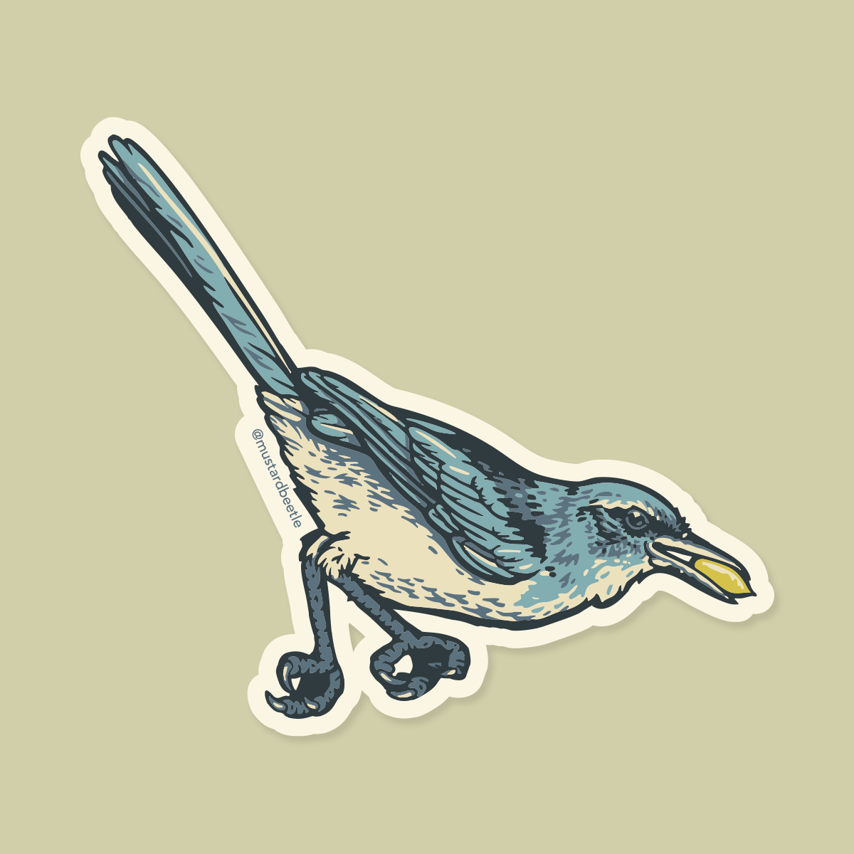 Sticker: Scrub Jay