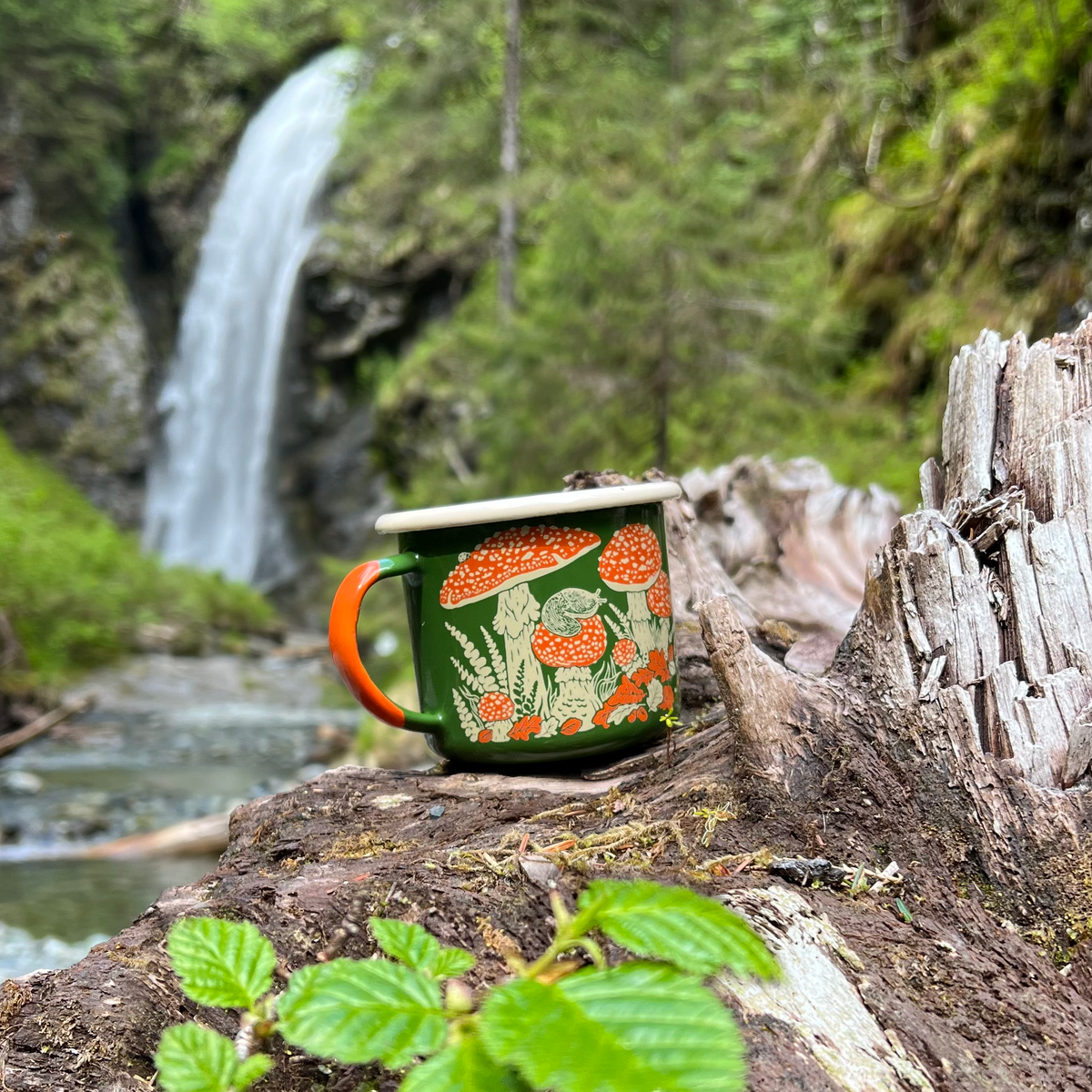 SECONDS* Enamelware Mug: Toad