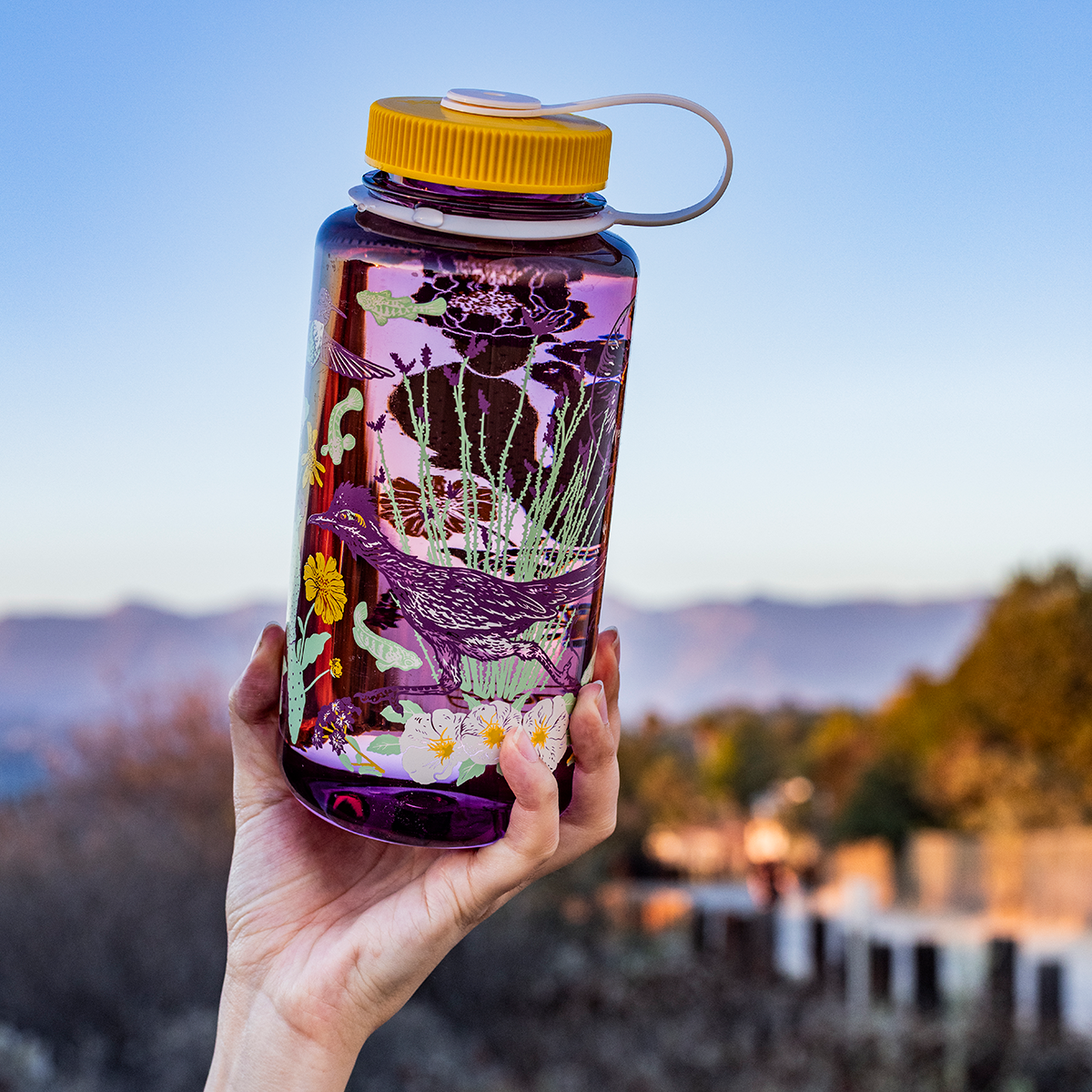 Nalgene 32oz: Anza Borrego