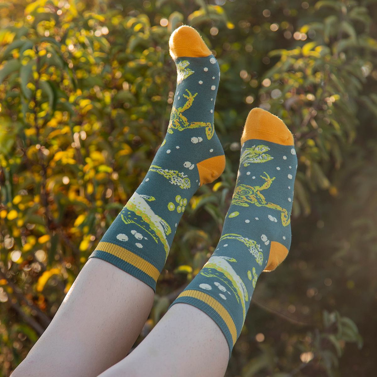 Crew Socks: CalTrout