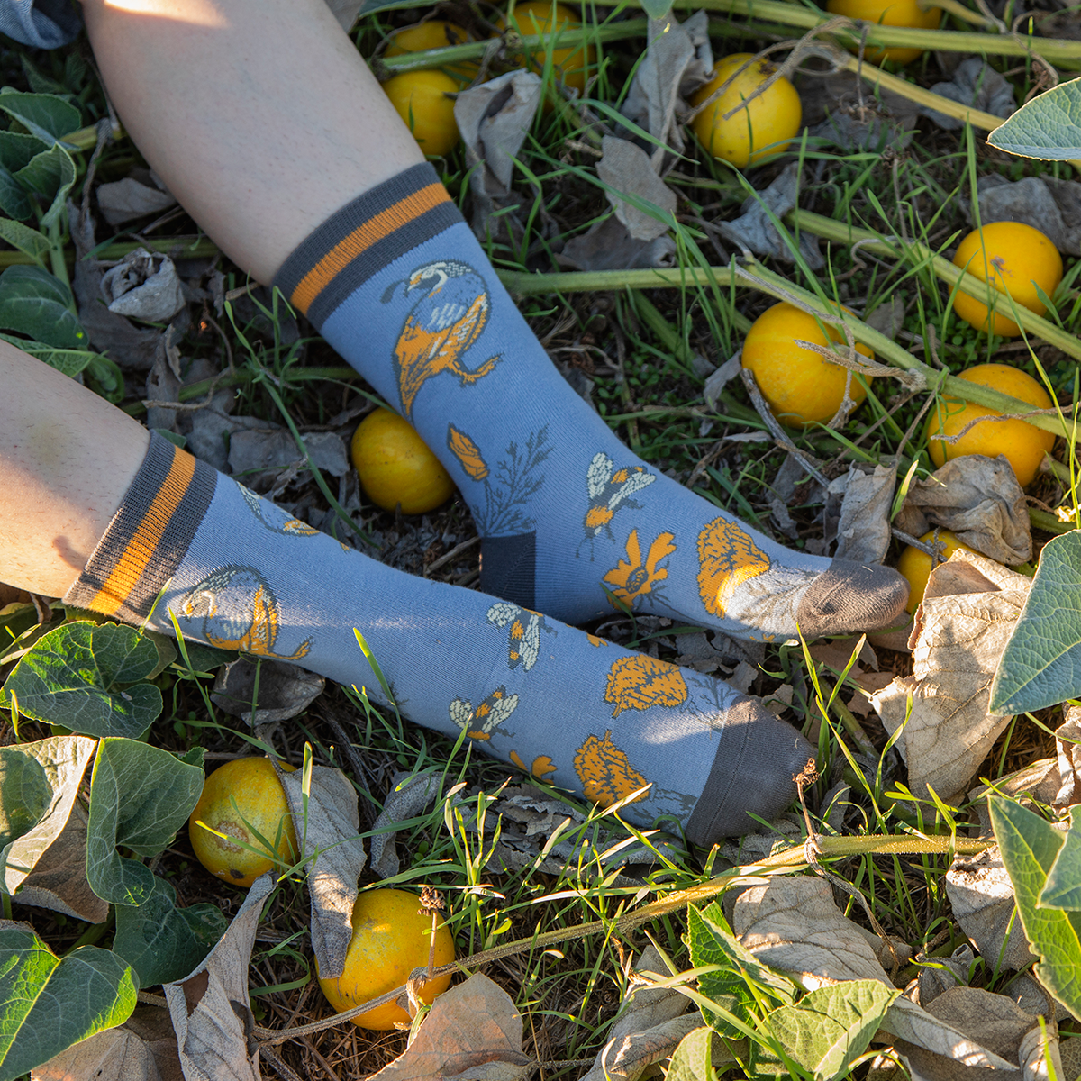 Crew Socks: Quail