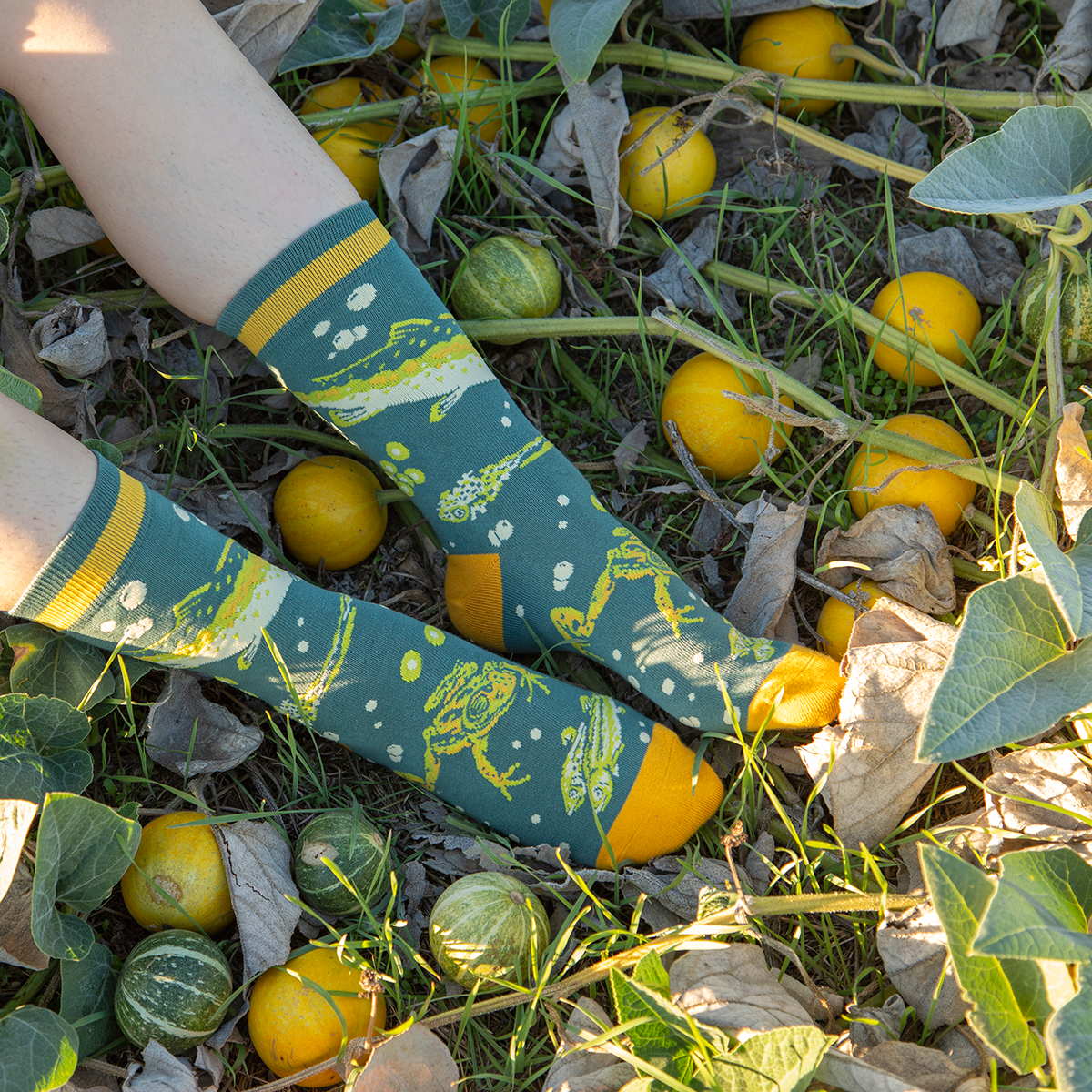 Crew Socks: CalTrout