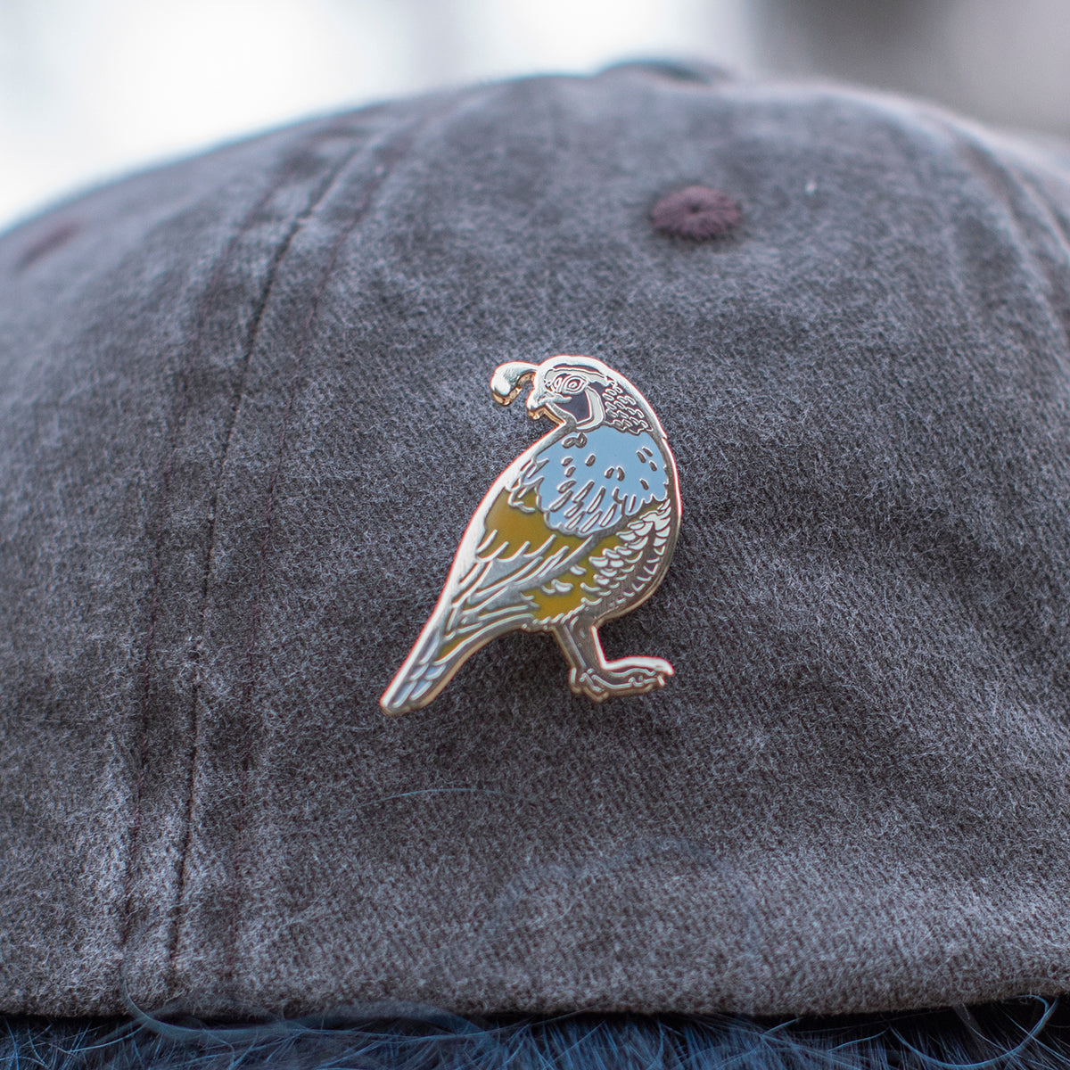 Enamel Pin: California Quail