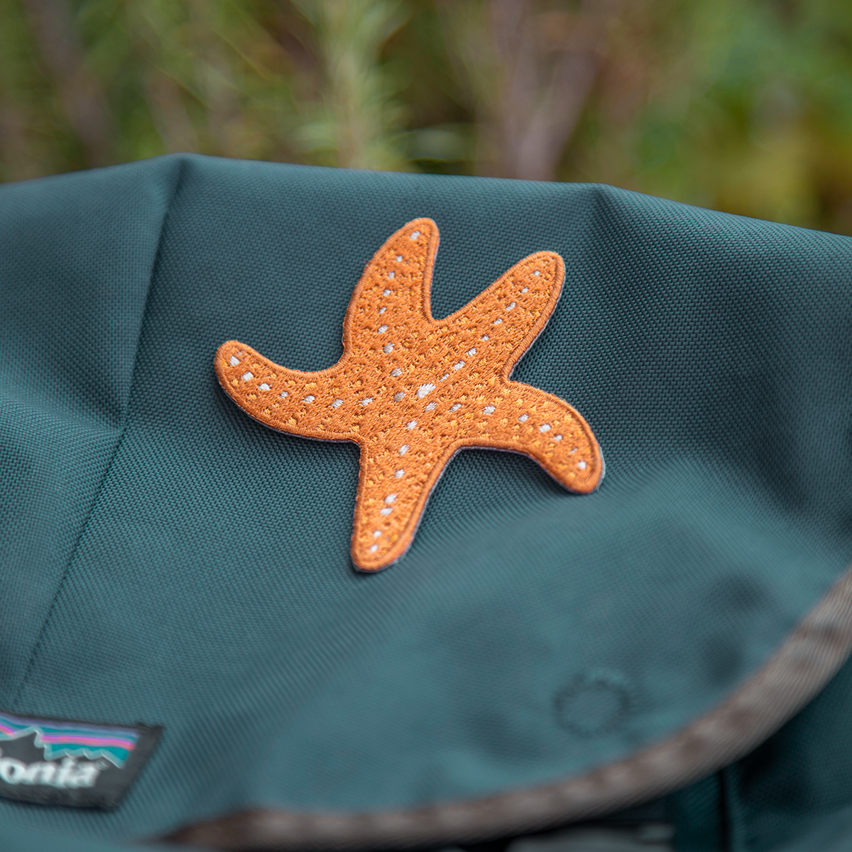 Iron on Patch: Ochre Sea Star