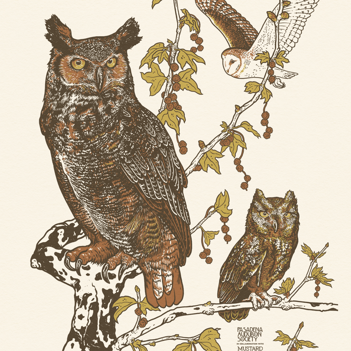 11x14" or 16x20" Pasadena Audubon Giclee Print: Owls