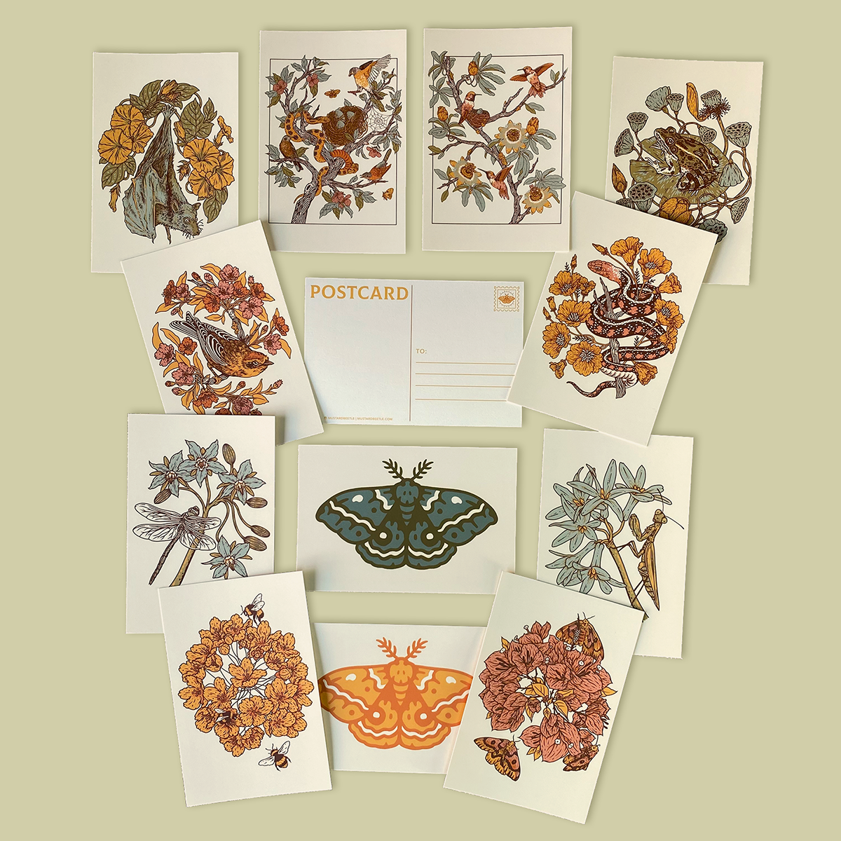 SECONDS* Postcard Set