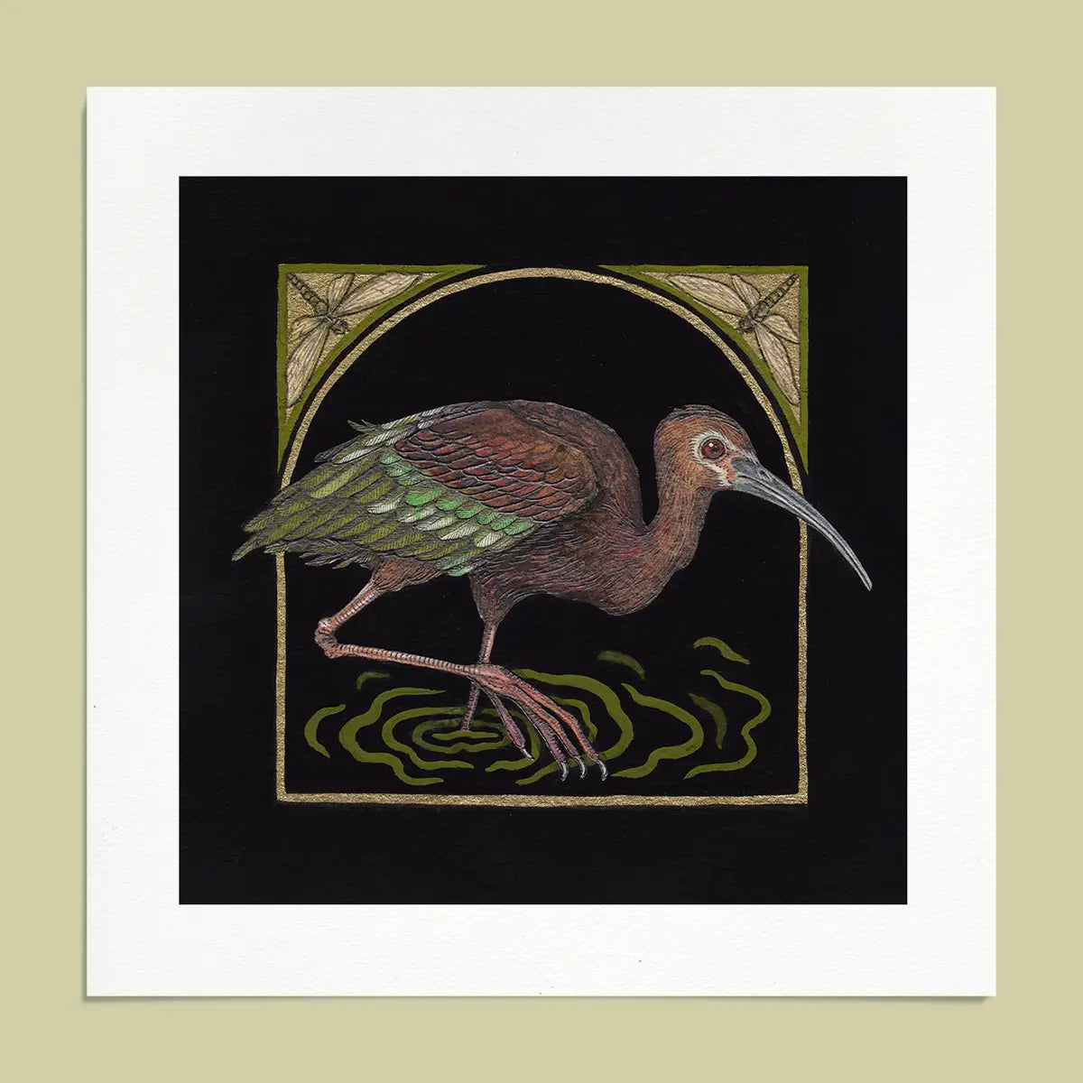 6x6" Mini Fine Art Giclee Print: White-faced Ibis