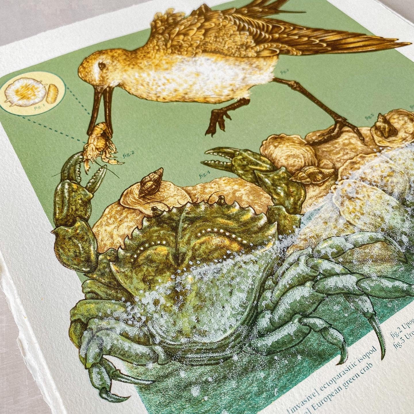 11x11" Fine Art Lithographic Print: Coastal Southern California