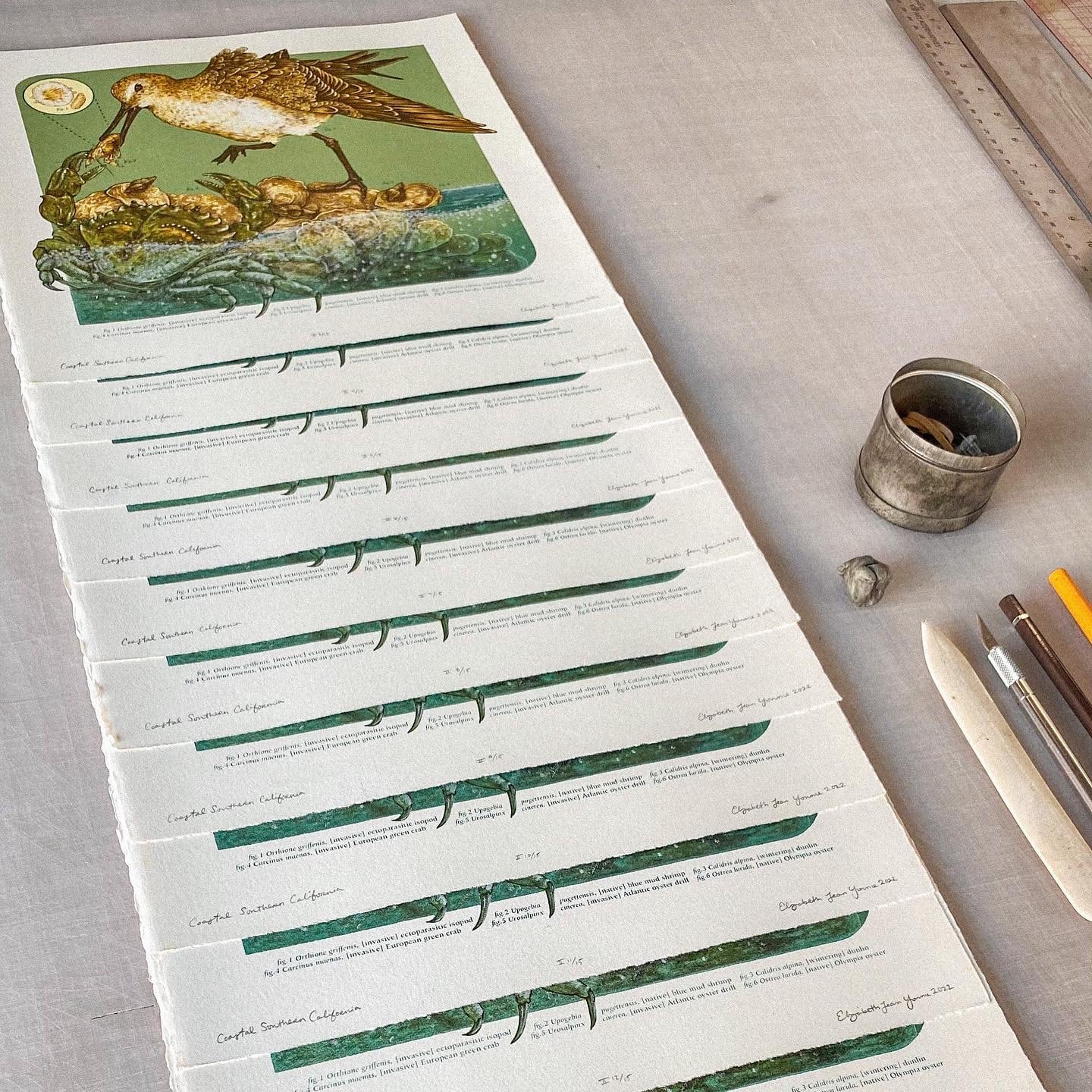 11x11" Fine Art Lithographic Print: Coastal Southern California