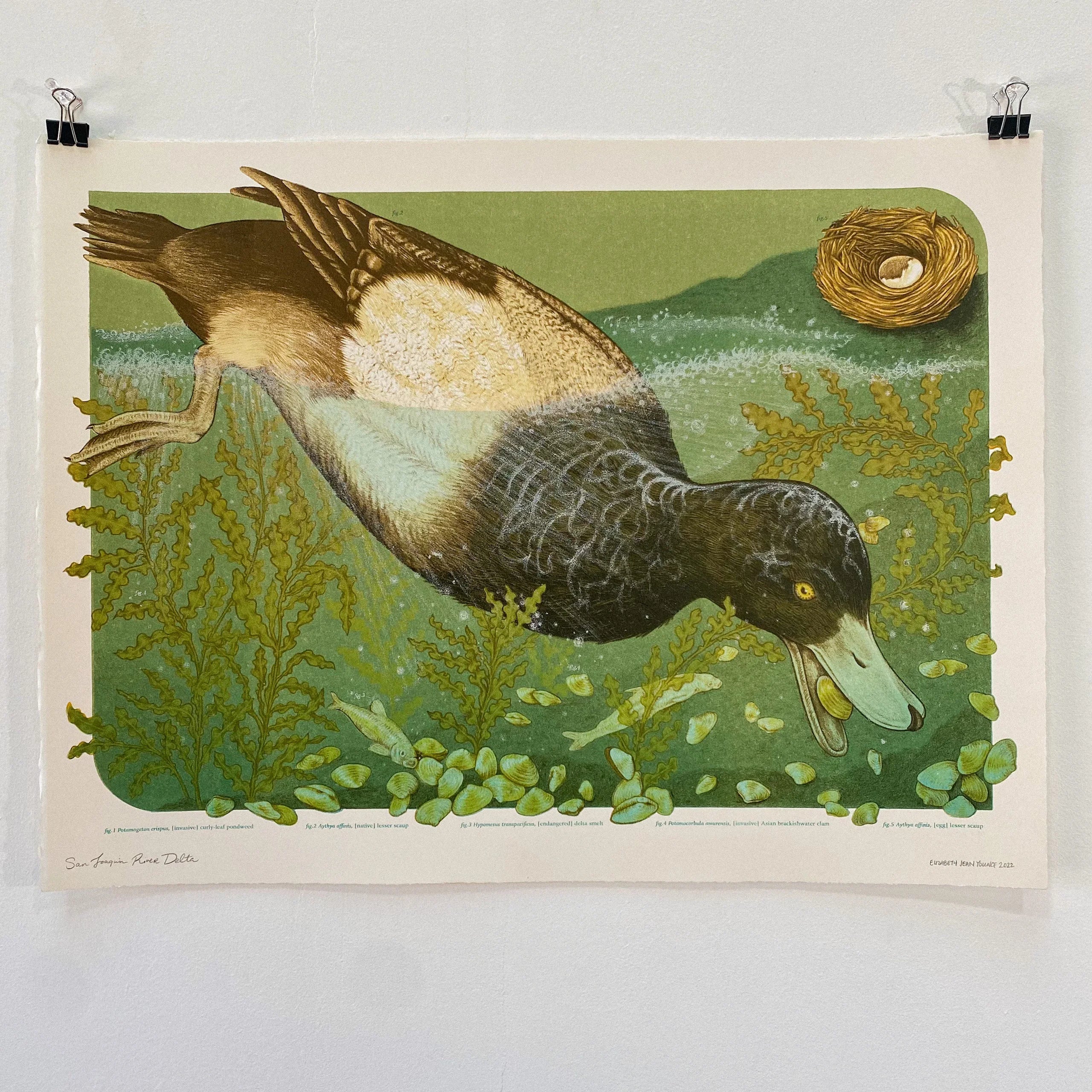 15x20" Fine Art Lithographic Print: San Joaquin River Delta