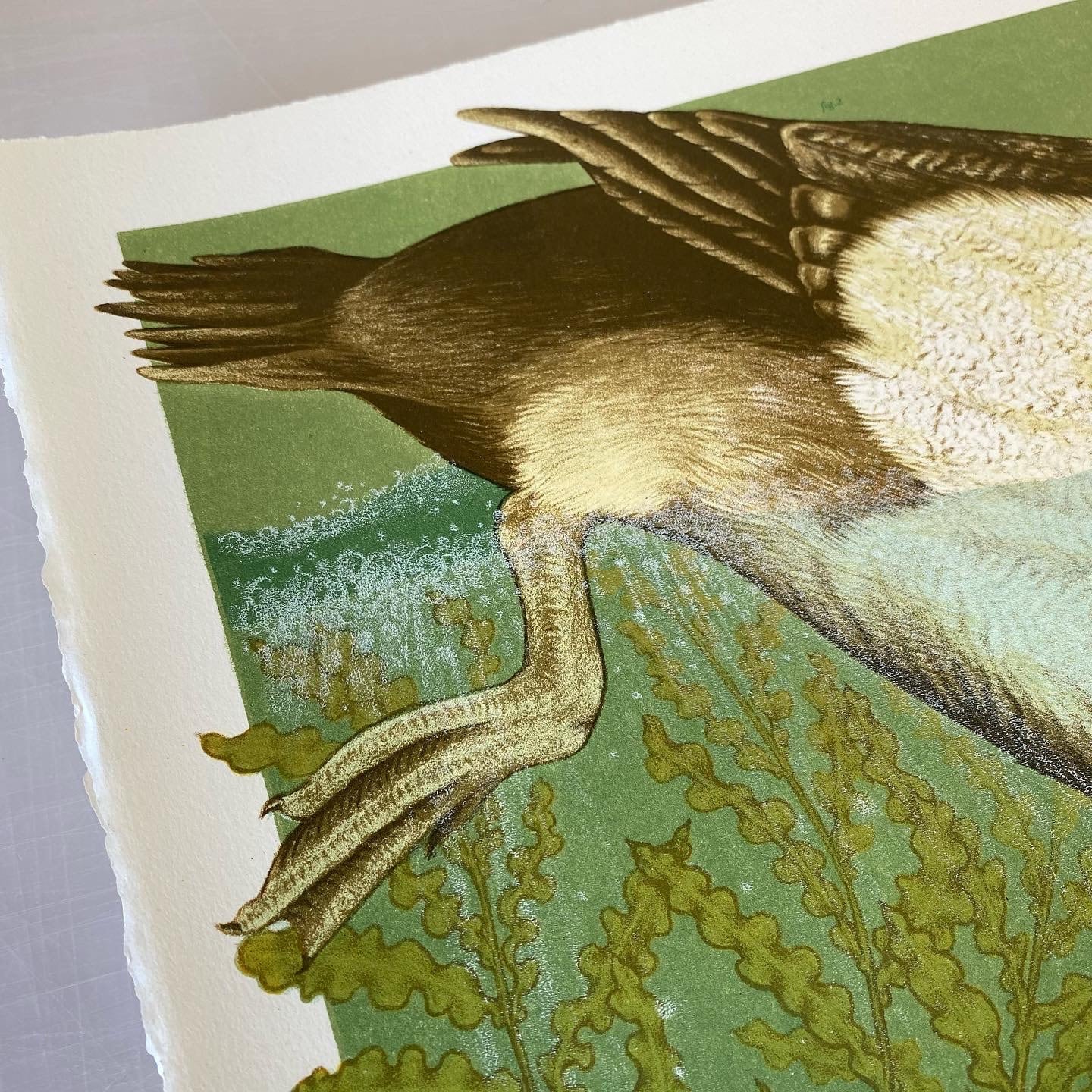 15x20" Fine Art Lithographic Print: San Joaquin River Delta