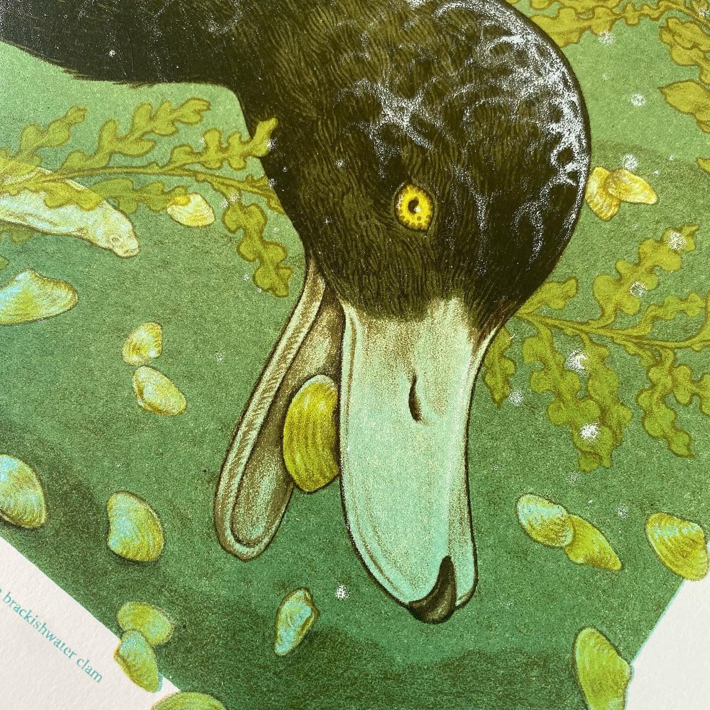 15x20" Fine Art Lithographic Print: San Joaquin River Delta