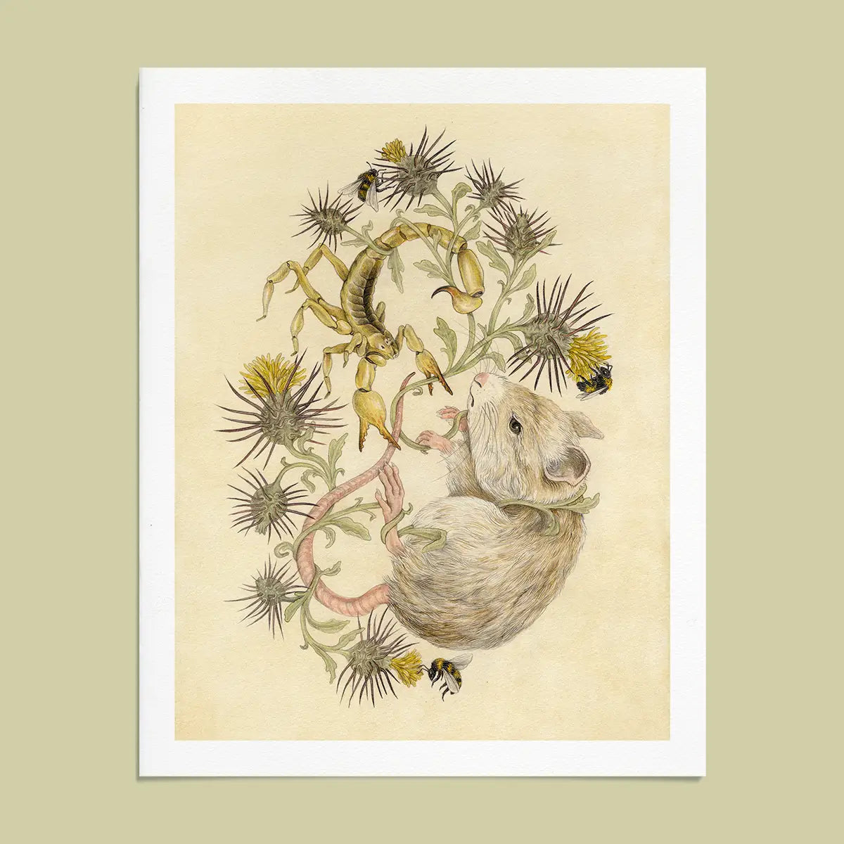 Fine Art Giclee Print: Sonoran Desert Scientific Illustration