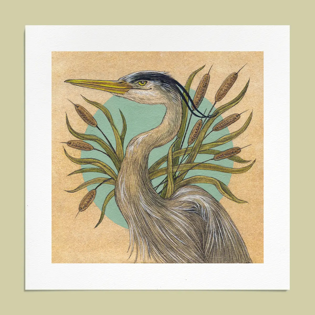 Fine Art Giclee Print: Great Blue Heron