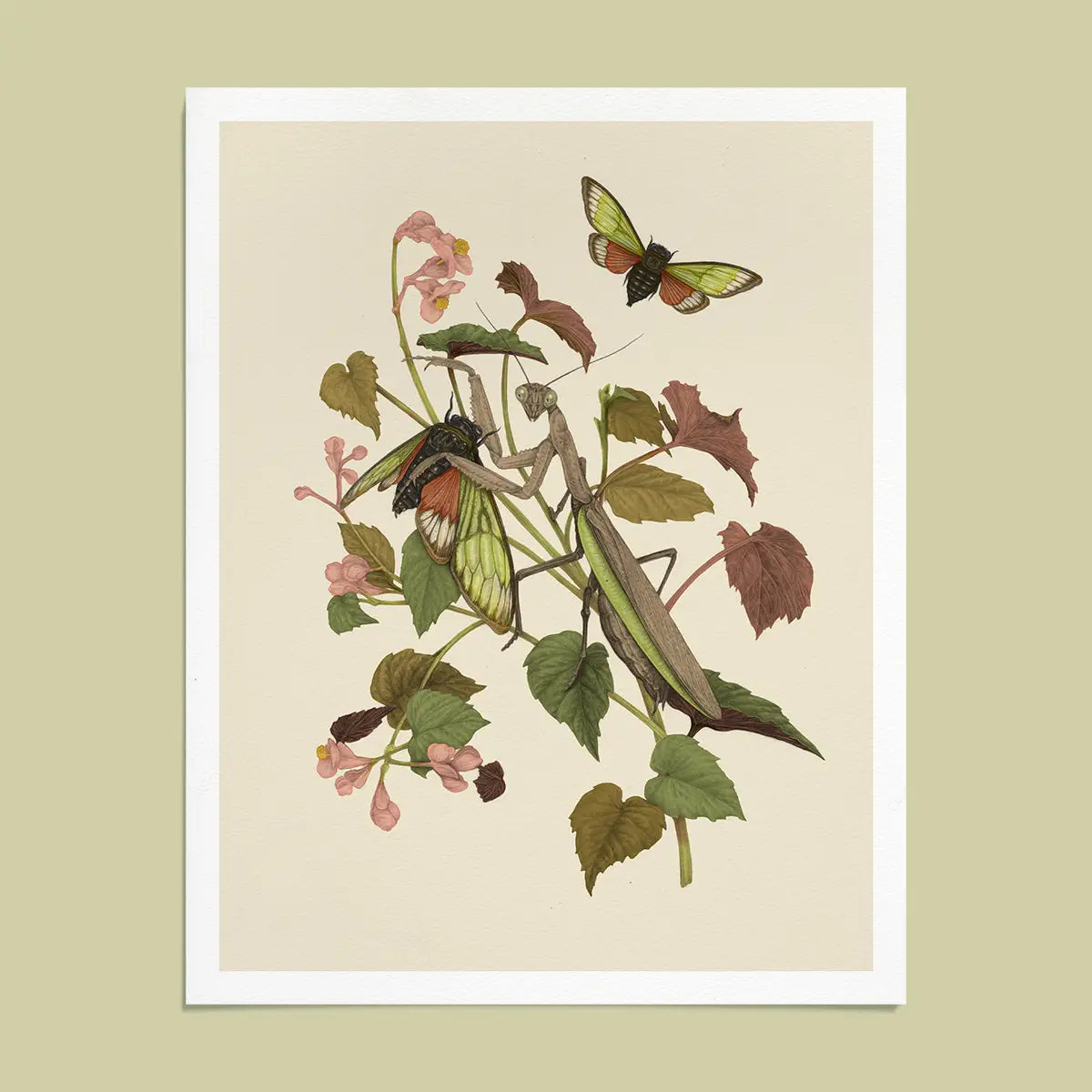 Fine Art Giclee Print: Mantis & Cicadas