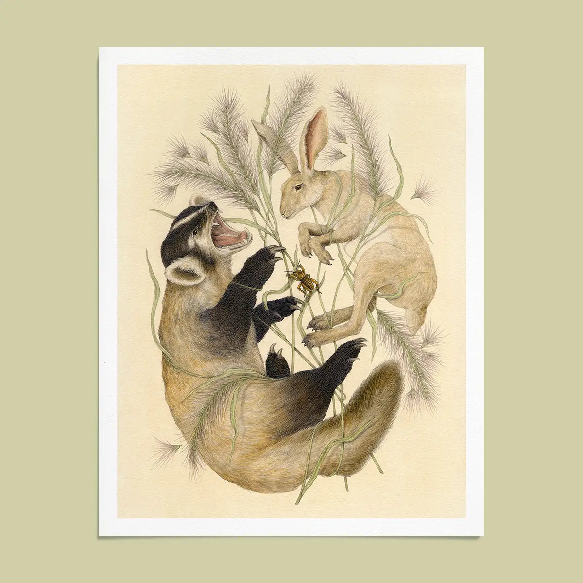 Fine Art Giclee Print: Chihuahuan Desert