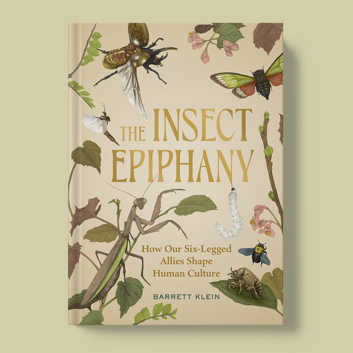 The Insect Epiphany